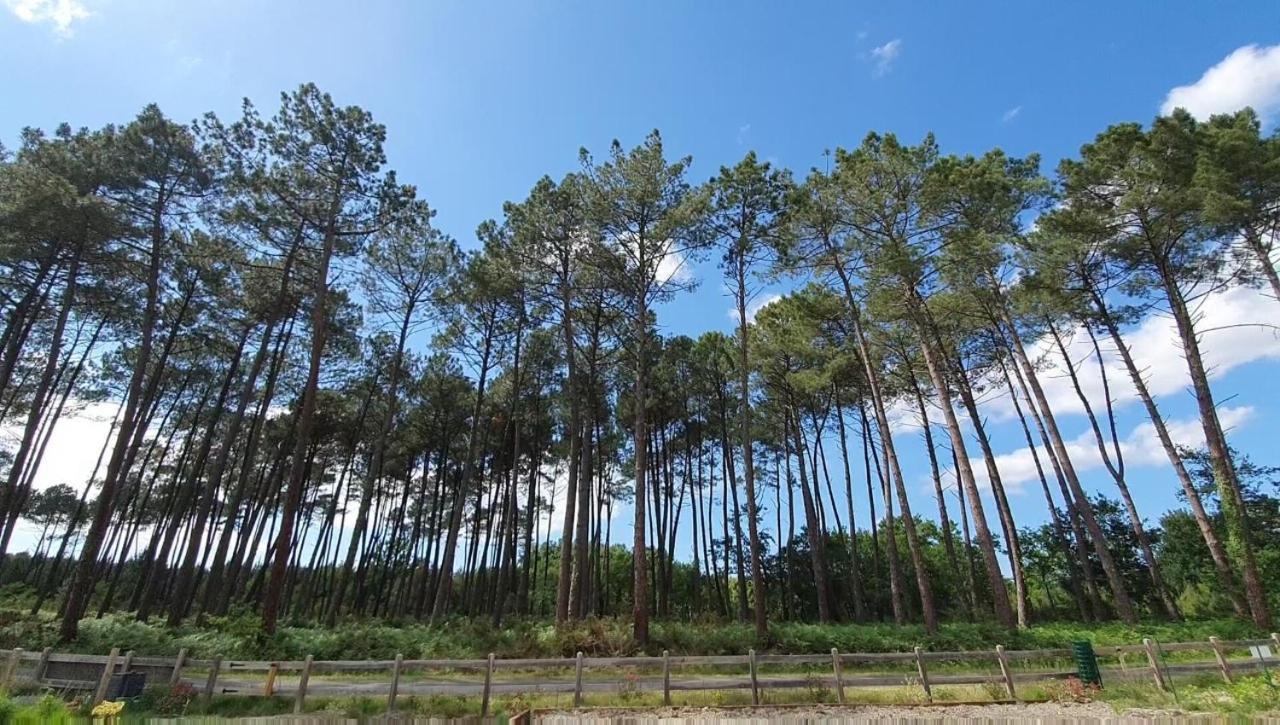 Maison Gemme A Landes Leon Luaran gambar